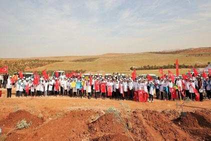 Gelecek nesillerimiz için 19 adet orman oluşturduk