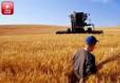 Gelecek yılın hububat üretimi açısından iyi bir yıl olacak
