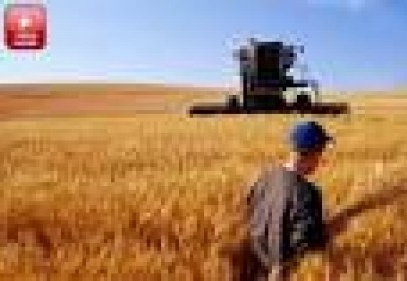 Gelecek yılın hububat üretimi açısından iyi bir yıl olacak