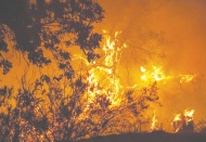 “Gelecekte seller, sıcaklık ve kuraklık var”