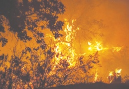 “Gelecekte seller, sıcaklık ve kuraklık var”