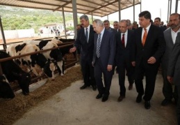 Gelişi güzel yerlerde hayvancılık yapılamayacak