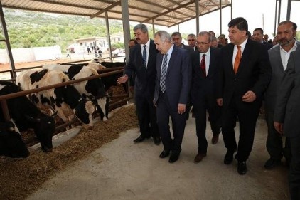 Gelişi güzel yerlerde hayvancılık yapılamayacak