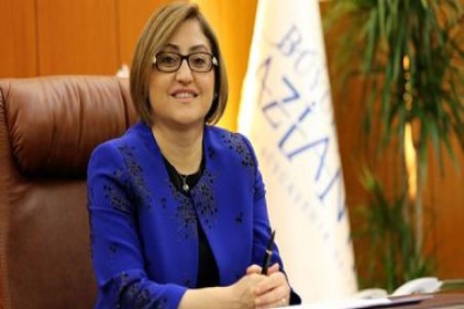 Gelişmiş demokrasilerde önemli bir kamusal güç