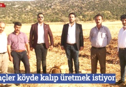 Gençler köyde kalıp üretmek istiyor