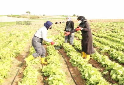 Geniş tanımlı işsizlik oranı ortalama yüzde 29,1, kadınlarda yüzde 37,3