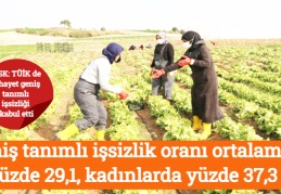 Geniş tanımlı işsizlik oranı ortalama yüzde 29,1, kadınlarda yüzde 37,3