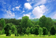 Geri dönüştürülebilir ofis kağıdı kullanım oranı binde 1 seviyesinde