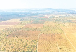 GES sayesinde ucuz elektriğe kavuşacak bin çiftçi sulama yapacak