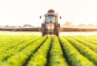 Gıda fiyatları 2007’den bu yana yüzde 70 arttı