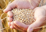 Gıda fiyatları, son 10 yılın zirvesinde