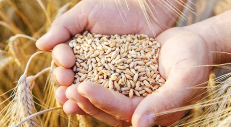 Gıda fiyatları, son 10 yılın zirvesinde