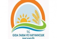 Gıda Tarım ve Hayvancılık Bakanlığı’nda 673 kişi hakkında işlem yapıldı