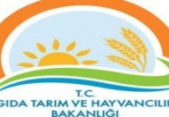 Gıdada 587 bin denetim yapıldı