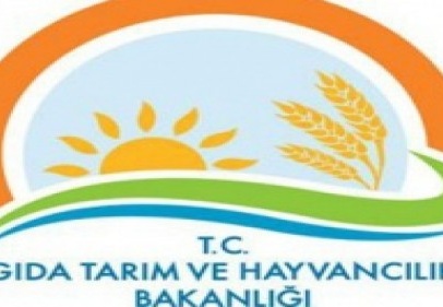 Gıdada 587 bin denetim yapıldı