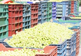 Giderler arttı, maliyetler yükseldi bu da ister istemez fiyatlara yansıdı