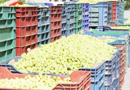 Giderler arttı, maliyetler yükseldi bu da ister istemez fiyatlara yansıdı