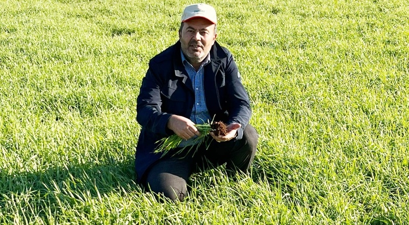 Girdi artışı, çiftçiyi üretimden uzaklaştırıyor