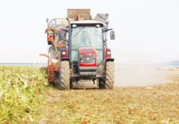 Girdi maliyetlerinin yüksekliği çiftçiyi üretimden uzaklaştırıyor