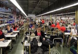 Girişim sayısı ve istihdamda en  yüksek payı hizmet sektörü oluşturdu