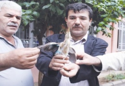 Göçmen kuşu tedavi ettirdi
