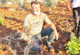 Gölet akıyor, çiftçi kuraklık çekiyor