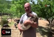 Görenler gözlerine inanamıyor