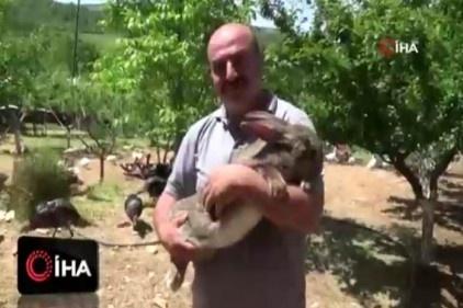 Görenler gözlerine inanamıyor