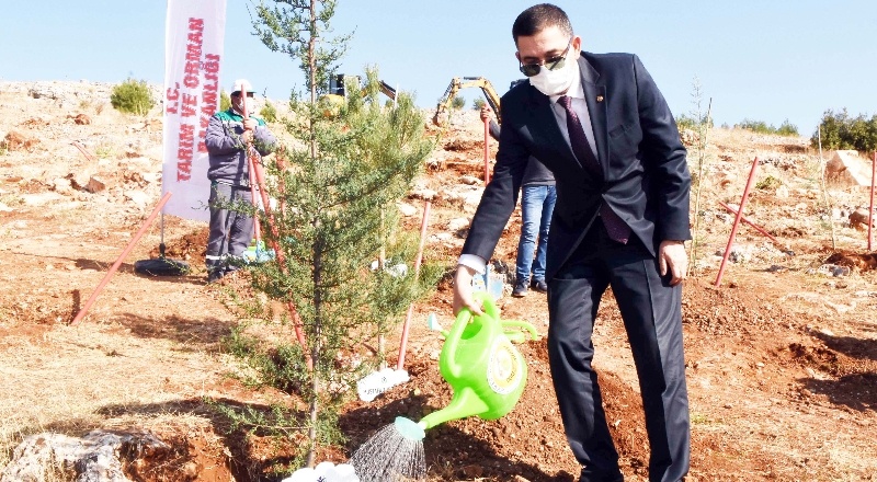GSO, hatıra ormanına 10’ar adet fidan bağışında bulundu