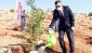GSO, hatıra ormanına 10’ar adet fidan bağışında bulundu