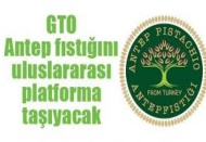 GTO, fıstığı AB’de tescil ettirmek için çalışmalarını sürdürüyor 