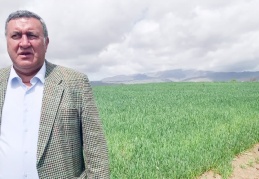 Gübre fiyatları bir yılda yüzde 342 arttı