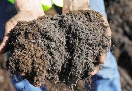 Gübre fiyatlarına yüzde 600 zam geldi