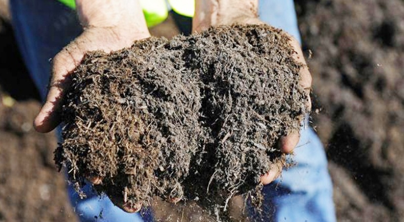 Gübre fiyatlarına yüzde 600 zam geldi