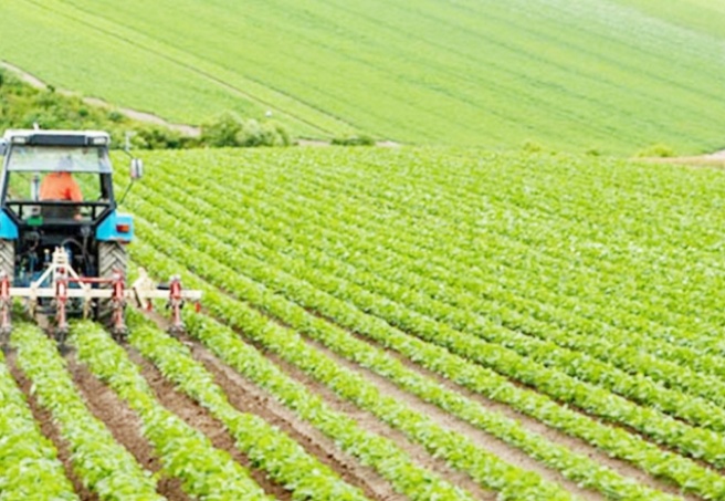 Gübrede yıllık artış yüzde 70'i aştı