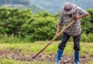 Gübredeki fiyat artışı bir yılda yüzde 52,86’e ulaştı