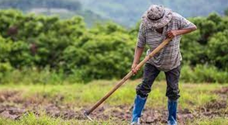 Gübredeki fiyat artışı bir yılda yüzde 52,86’e ulaştı