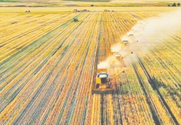 Gübreye fahiş zam, ikame ürüne yöneltti