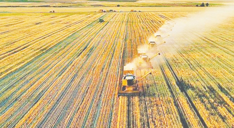 Gübreye fahiş zam, ikame ürüne yöneltti