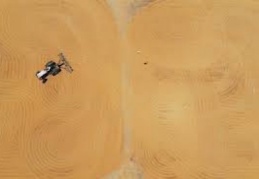 “Güneş gören buğdayın bulguru daha lezzetli oluyor”