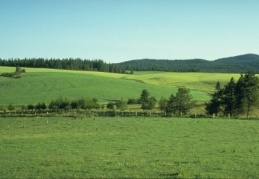 Güneydoğu Anadolu 23,8 milyon dekarla 4. sırada