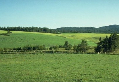 Güneydoğu Anadolu 23,8 milyon dekarla 4. sırada
