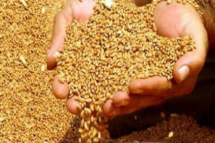 Güneydoğu&#8217;da Milli seferberlik ilanına destek büyüyor