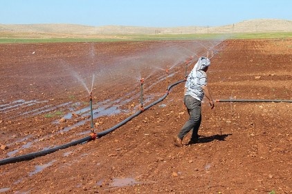 Güneydoğu&#039;da toplulaştırma arazi fiyatlarını artıracak