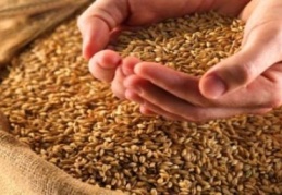 Güneydoğu'dan hububat 978 milyon 624 bin dolarlık bakliyat ihracatı yapıldı