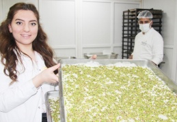 “Günlük 100 tepsi güllaç yapıyoruz”