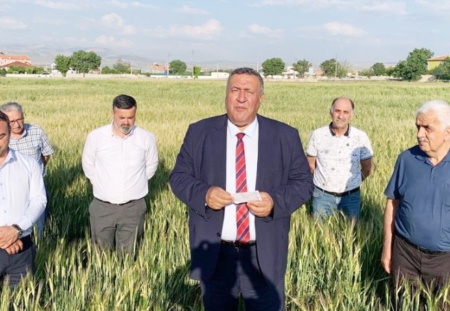 Gürer: Çiftçi hasat etmeden taban fiyat eridi