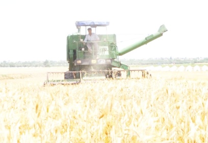 Gürer: “İthal buğdayı işleyip ihraç ederek tarımda sorunlar aşılamaz”