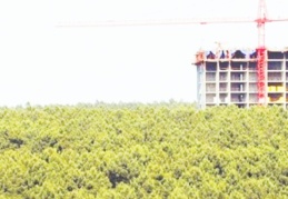 Gürsel Tekin'den satış tepkisi: En ucuz halleriyle mezata çıkan bu taşınmazlar kimlere gidiyor?