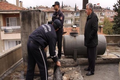 Güvenli ısınmada baca temizliği önemli 